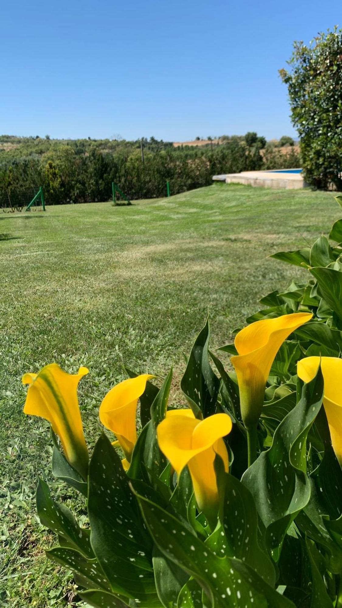 Quinta Pedro E Ines Chalet Braganca