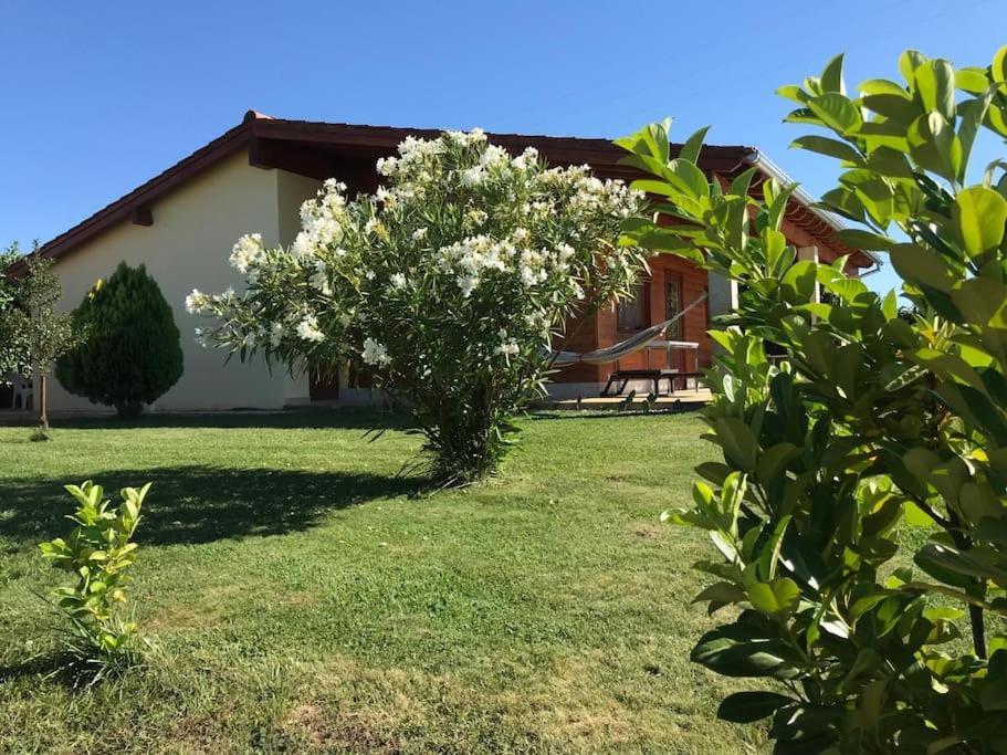 Quinta Pedro E Ines Chalet