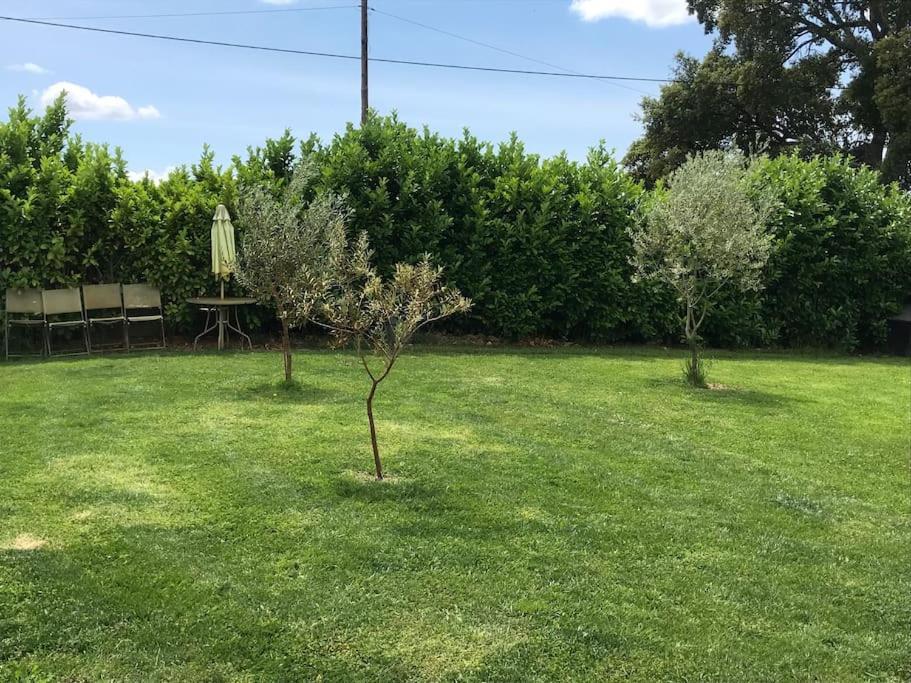 Quinta Pedro E Ines